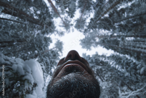 Bigfoot in the winter forest. View from the bottom. Focus on the chin.
