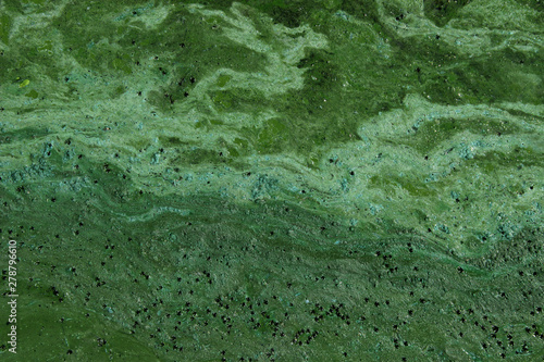 Blurred texture background. Cropped shot of dirty water, top view. Ecology, environmental pollution, nature concept. Abstract colorful background texture.