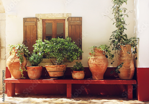 Plants in pots on a bench near a textured wall with a window, Greece, Crete