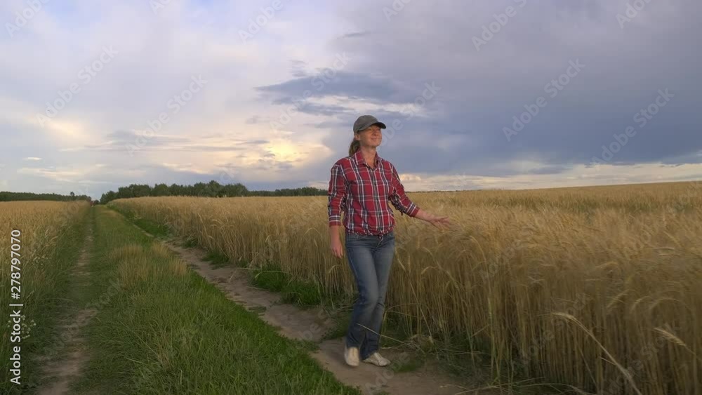 happy female farmer walking along edge of wheat field. Harvest season. happy female farmer walking along edge of wheat field. Harvest season.