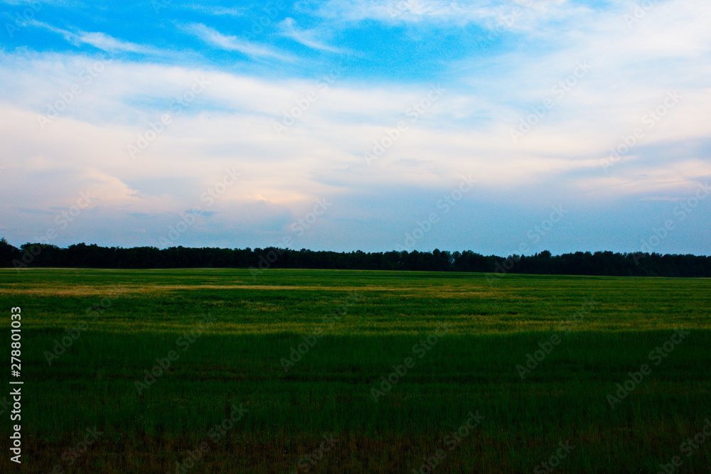 green field and blue sky