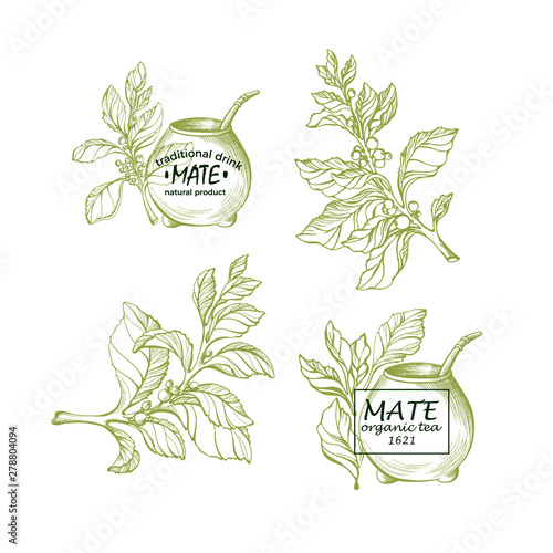 Yerba mate. Natural tea. Calabash gourd. Set