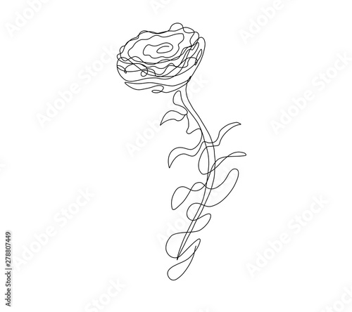 Line art sketch of rose drwn with single line photo