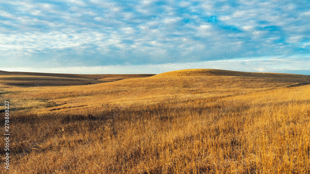 Winter Prairie Fields