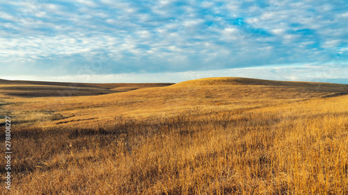 Winter Prairie Fields