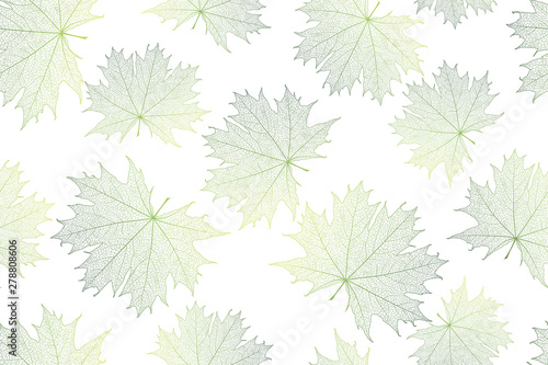 Seamless pattern with  maple leaves . Vector  EPS 10.