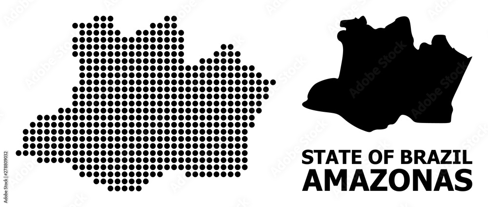 Dotted Mosaic Map of Amazonas State