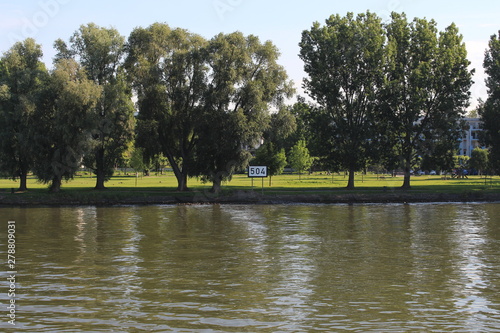 Rheinwiesen Biebrich