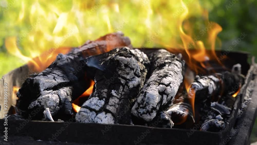 camping outdoors cooking meat on the grill camping outdoors cooking meat on the grill