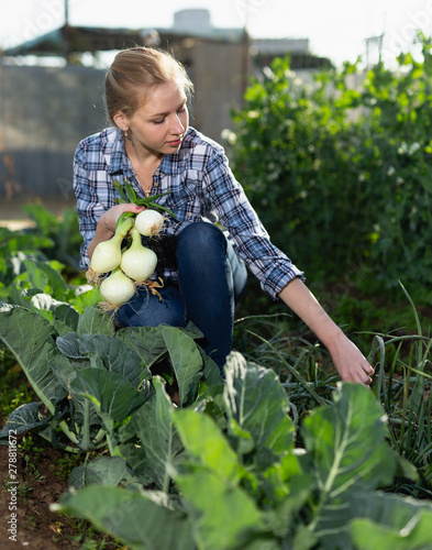 Woman harvesting green onion