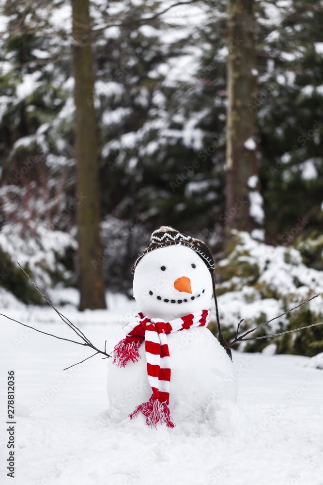 Obraz premium Snowman standing in winter landscape