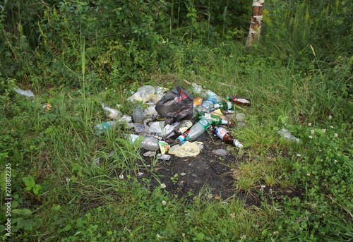 Garbage and trash lies in the forest. Pollution of the wild.