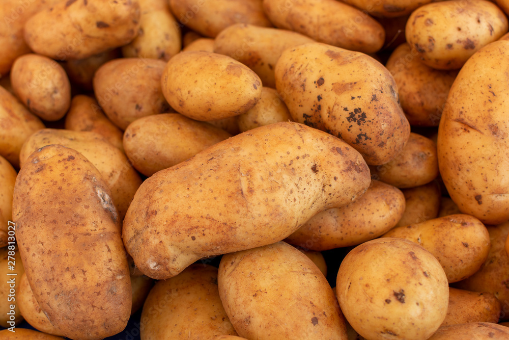 Potatoes on market, new harvest of potatoes vegetables close up Potatoes on market, new harvest of potatoes vegetables close up