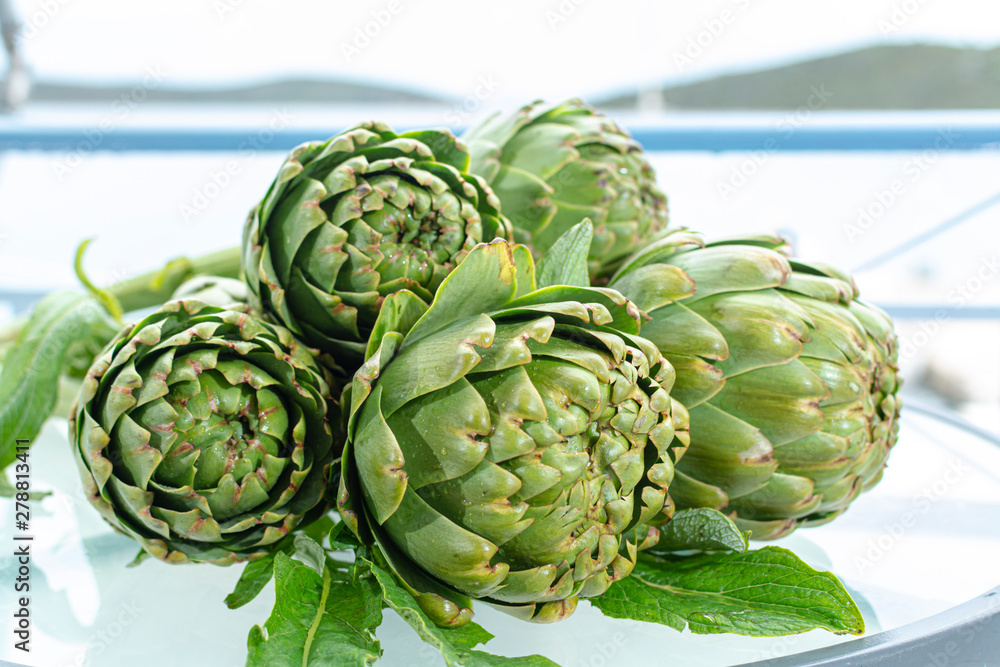 Obraz premium Bunch of fresh raw artichokes heads from artichoke plantation in Argolida, Greece ready to cook