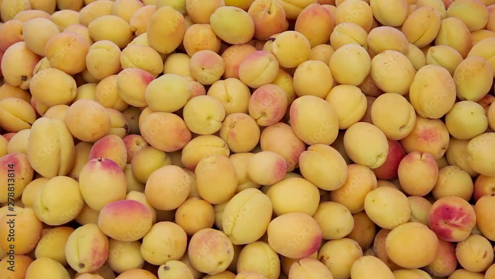 fresh apricots in the market fresh apricots in the market