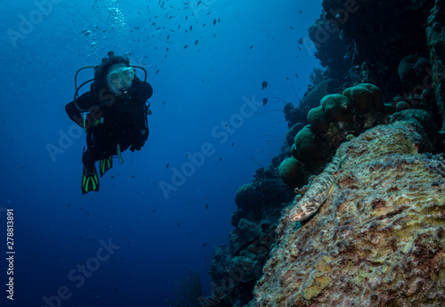 Diver approaches a lizardfish on the reef in Bonaire, Netherlands Antilles