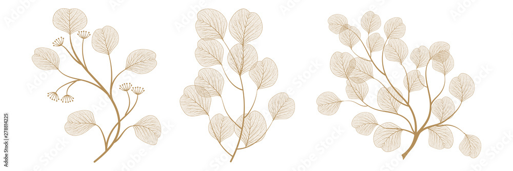 Fototapeta Zestaw gałęzi z liśćmi eukaliptusa. Ilustracji wektorowych. EPS 10.