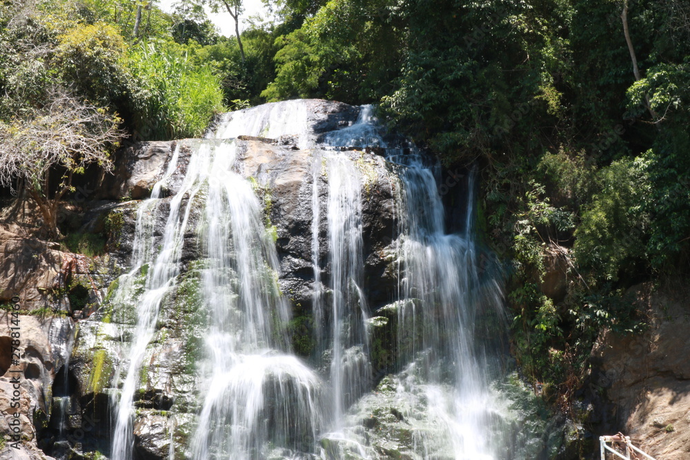 waterfall in forest waterfall in forest