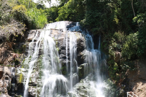 waterfall in forest