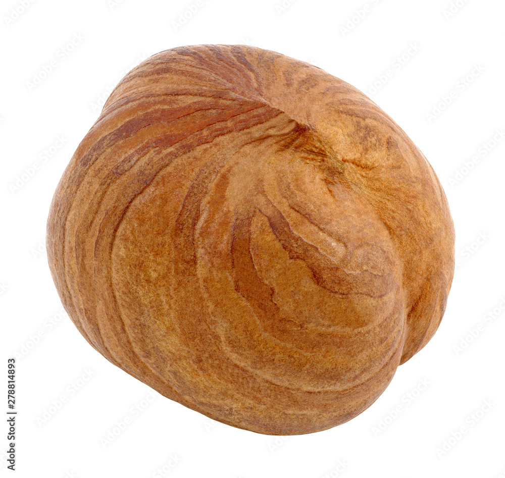 Hazelnut core whole single isolated on white background with clipping path. Full depth of field. Hazelnut core whole single isolated on white background with clipping path. Full depth of field.