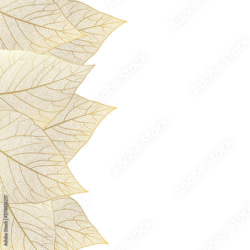 Beautiful background with leaves and space for text. Vector illustration. EPS 10.