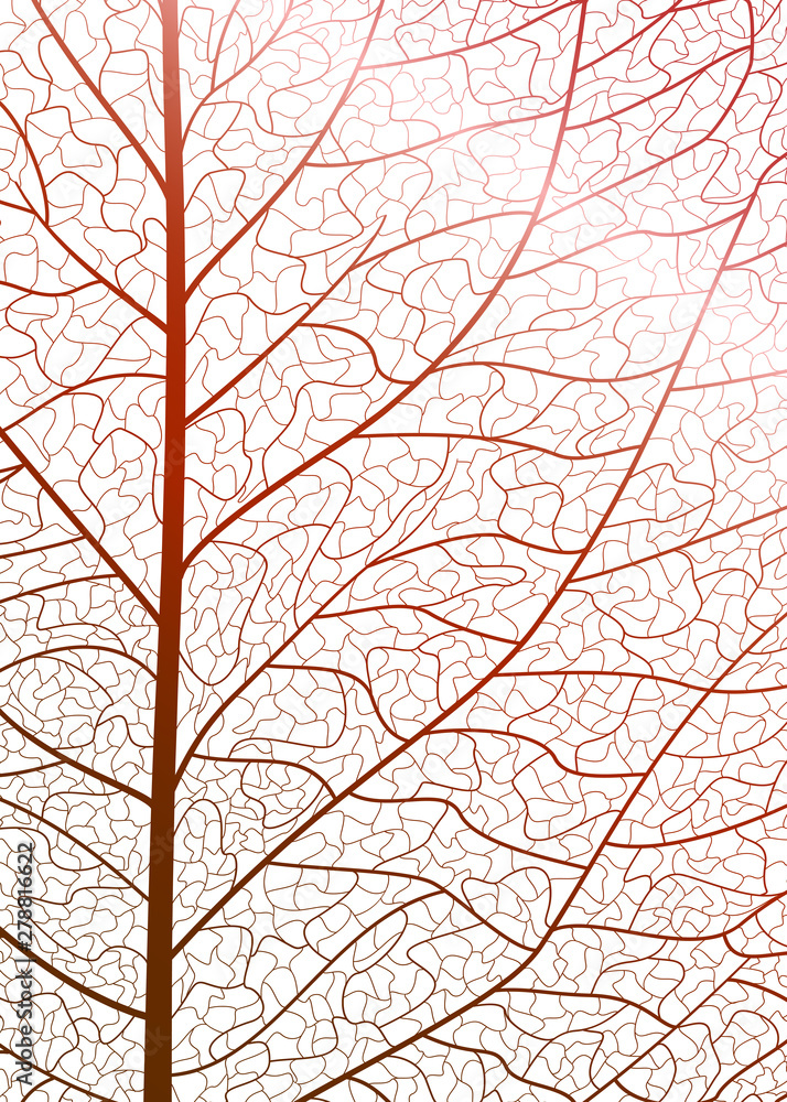 Background texture leaf. Vector illustration. Background texture leaf. Vector illustration.