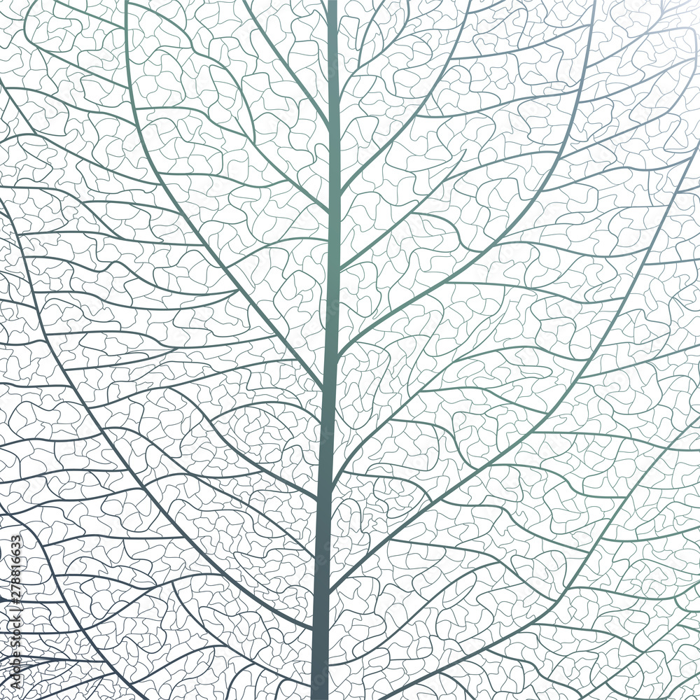 Fototapeta premium Background texture leaf. Vector illustration.