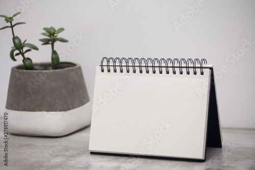 Empty notepad and succulents pots, room interior mockup, copy space background 