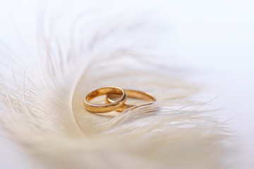 Wedding delicate background with rings and feather. Tenderness, tender love concept.