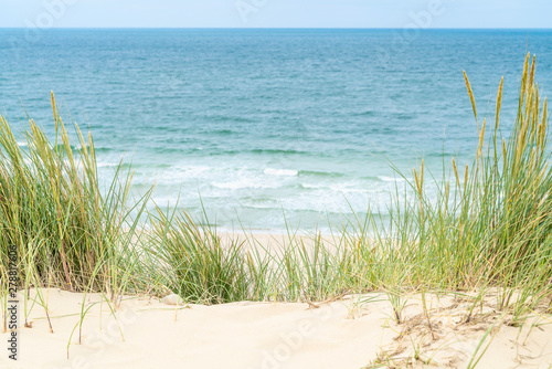 Dune with beach grass on Sylt island.