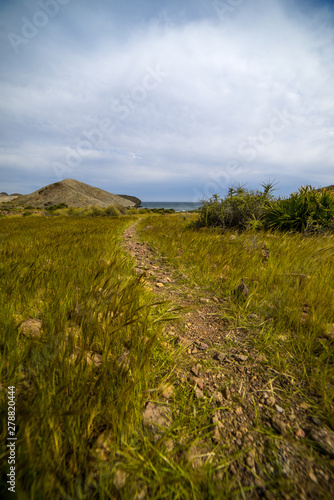 paisaje de camino con hierba y costa 