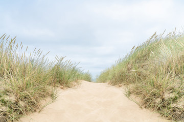 Keuken achterwand Duingras Helmgras op duinen van Sylt  © ryszard filipowicz