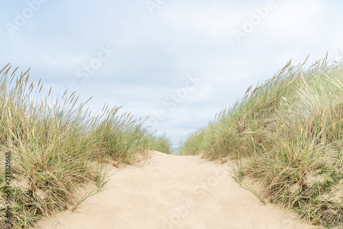 Fototapeta Naklejka Na Ścianę i Meble -  Dune with beach grass on Sylt island.