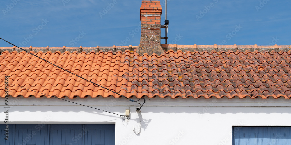 Comparison Roof cleaning moss and lichen before and after high pressure water cleaner tile Comparison Roof cleaning moss and lichen before and after high pressure water cleaner tile