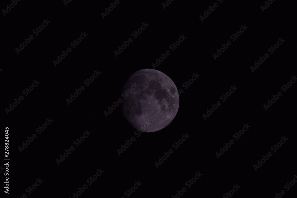 Moon Moon
