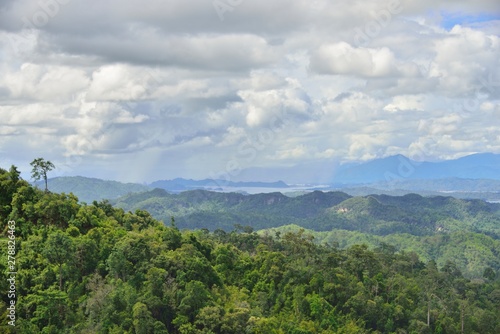 Forest Of Thailand with Landscape View