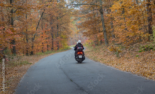 Motorcyclist rides on the road passing through the autumn forest. Tourism