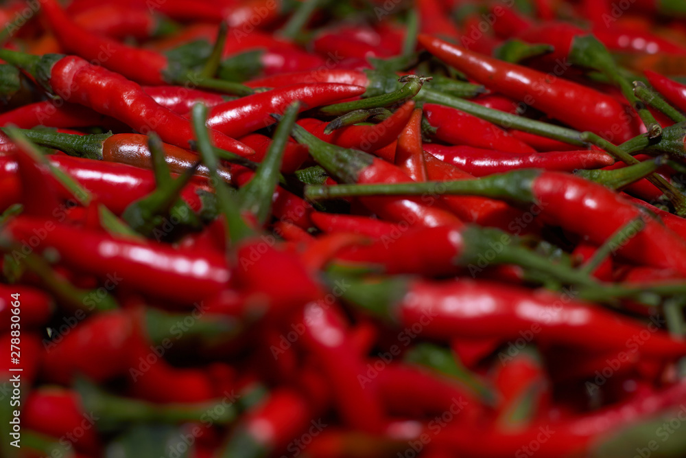 agriculculture, farming, crops, farm produce agriculculture, farming, crops, farm produce