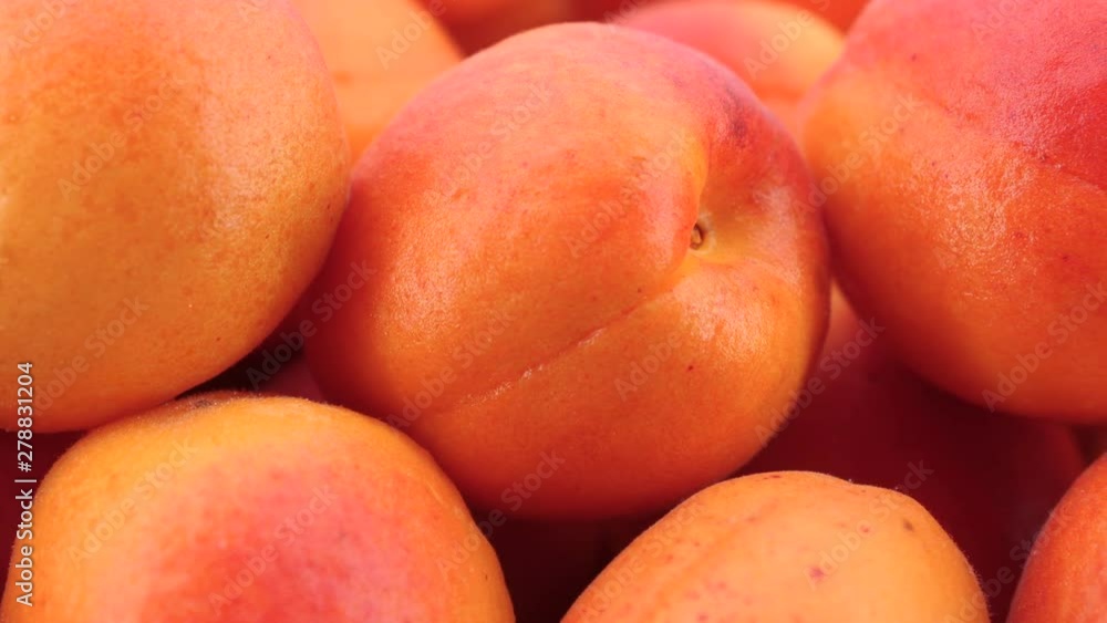 Biologic apricots, tracking shot filmed in 4K. Biologic apricots, tracking shot filmed in 4K.