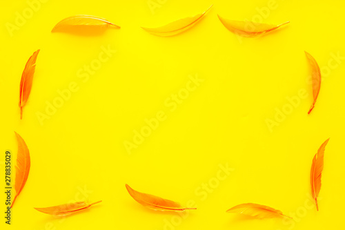 frame with feathers for modern design on yellow background top view mock up