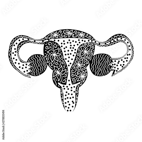 Fotótapéta Black and white uterus with floral decor