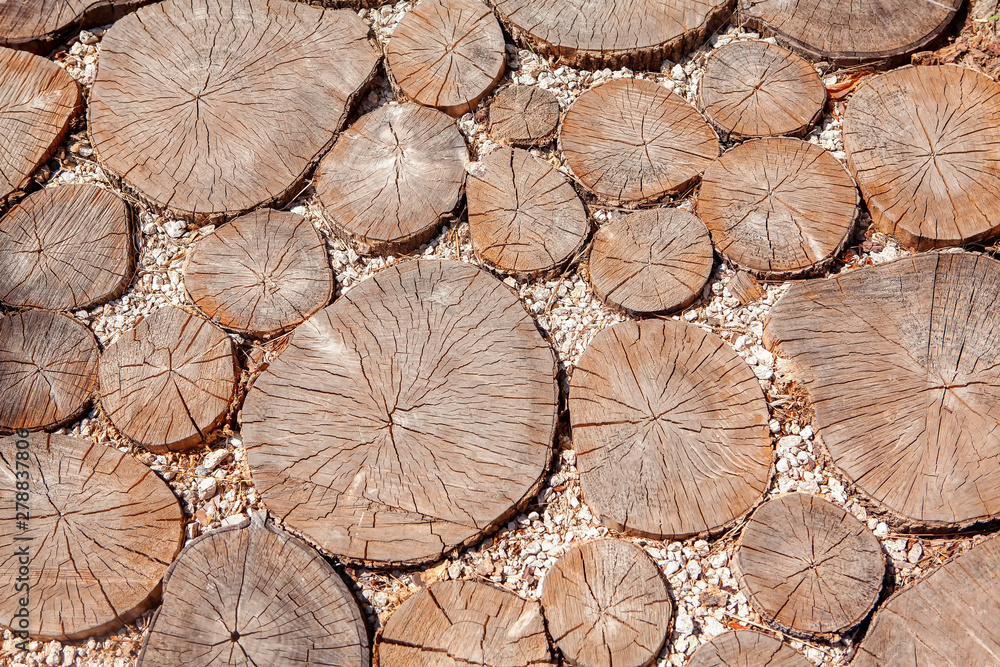wooden walkway , path made by cut round trees wooden walkway , path made by cut round trees
