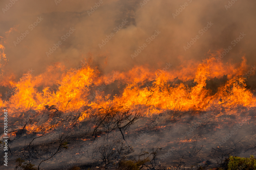 Wildfire running across landscape