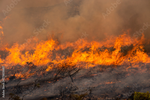 Wildfire running across landscape © Patrick Ryan