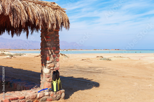 Red Sea coast and mangroves in the Nabq National Park. Snorkeling equipment - flippers, snorkel and mask. Famous travel destionation in desert. Sharm el Sheik, Sinai Peninsula, Egypt. photo