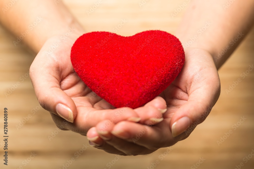 Hands Holding a Heart Hands Holding a Heart