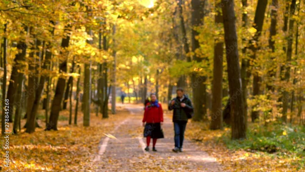 Unidentifieble couple walking in the sunny autumn park Unidentifieble couple walking in the sunny autumn park