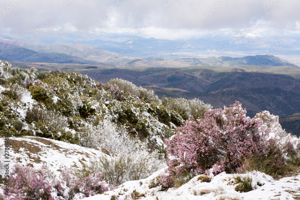 Snow at Way of St. James, near Cruz de Ferro, Spain Snow at Way of St. James, near Cruz de Ferro, Spain