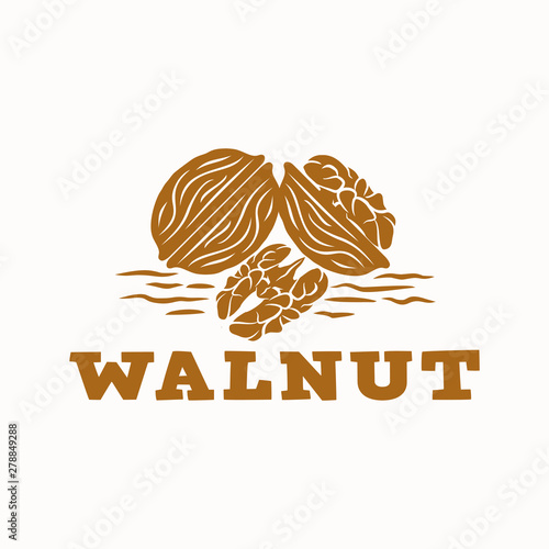 Walnut Logo. whole and opened walnuts Vector