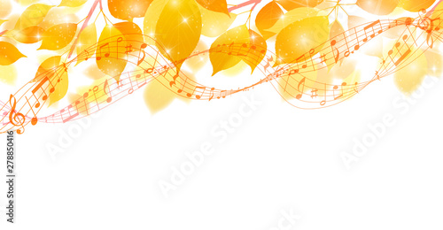 紅葉　秋　葉　背景 